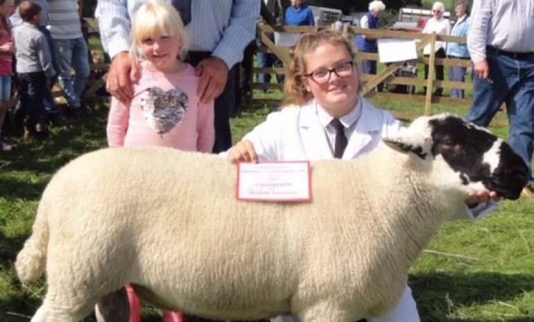 Sheep Show Raises Funds For Stroke Unit at RLI.